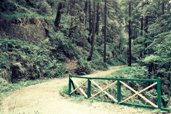 Shimla Water Catchment Wildlife Sanctuary